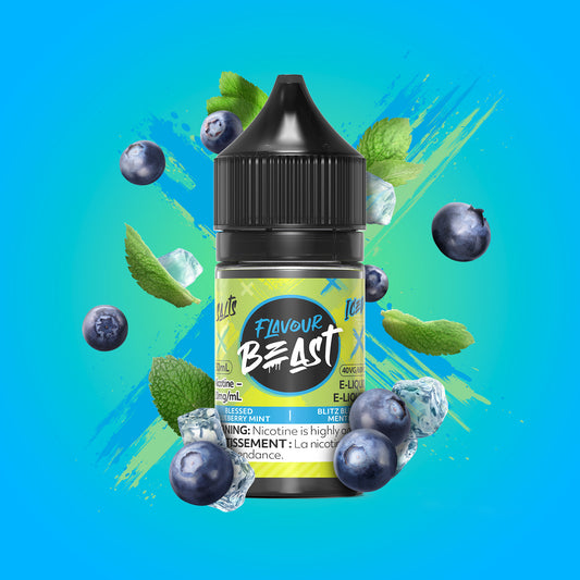 Flavour Beast Salt 30mL - Blessed Blueberry Mint Iced